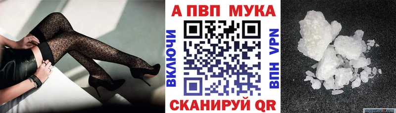 А ПВП СК КРИС  ОМГ ОМГ ссылки  Шарья 