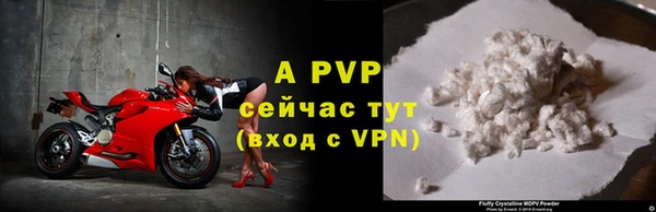 гашик Надым