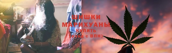 гашик Надым