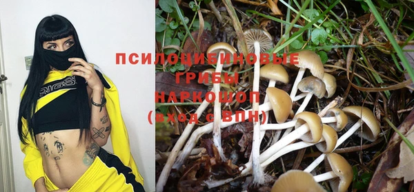 гашик Надым