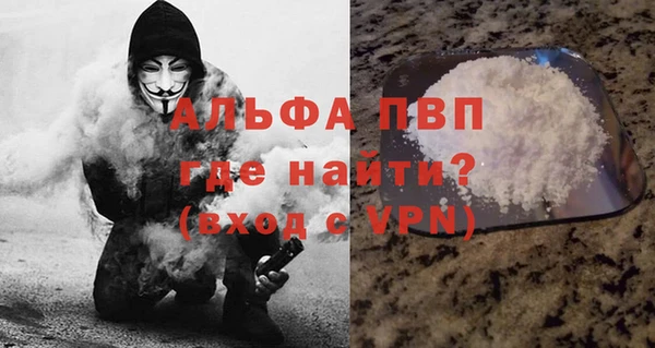 гашик Надым