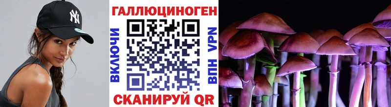 Галлюциногенные грибы GOLDEN TEACHER hydra ссылки Шарья